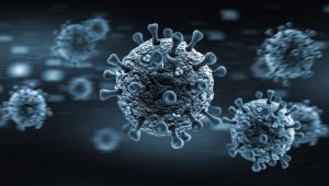 Services TEH | desinfection-locaux-covid-19